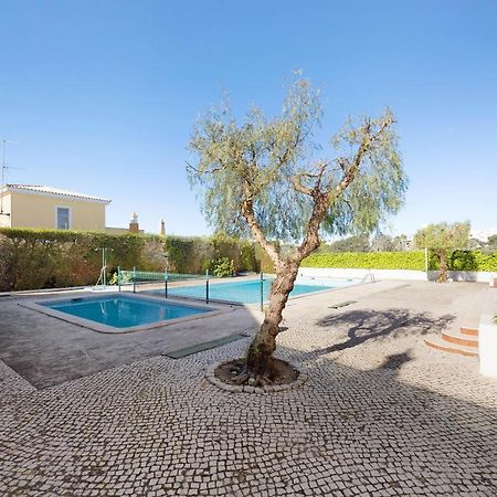 Dreamalvor Apartment Ngoại thất bức ảnh